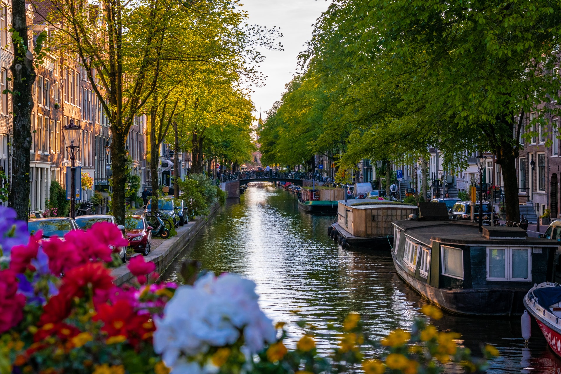 12 самых важных советов туристу в Амстердаме - Amsterdam10.ru