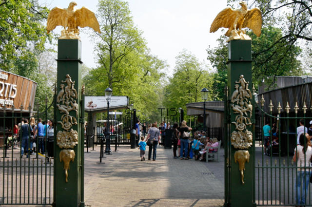 Королевский зоопарк в Амстердаме 