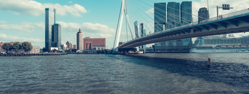 Вид на Роттердам и мост Erasmus