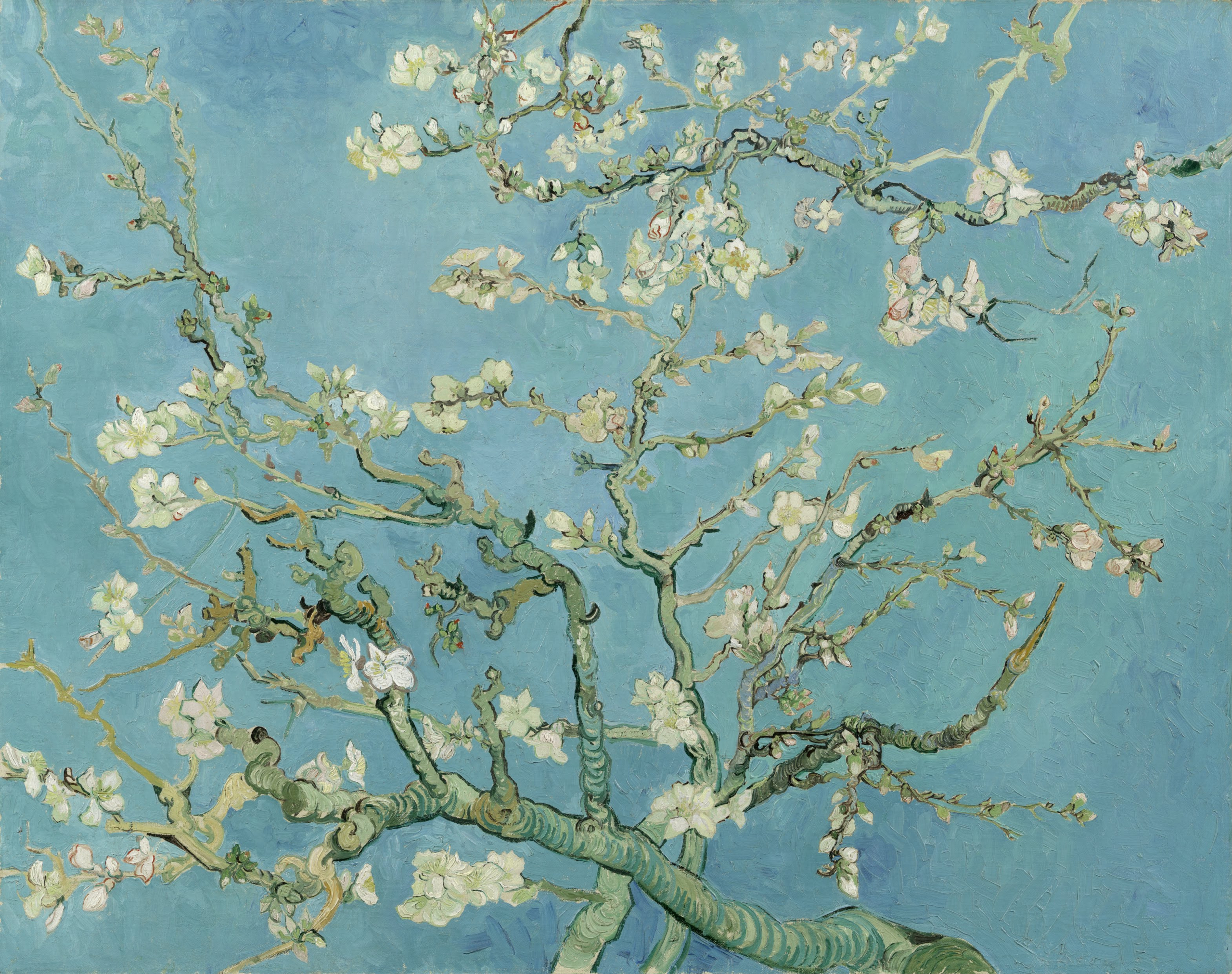 «Цветущие ветки миндаля» ван Гога